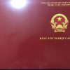 lam-bang-cao-dang-gia