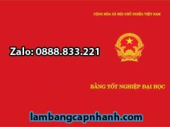 lam-bang-dai-hoc-uy-tin-tai-tphcm