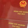 mat-truoc-bang-dai-hoc